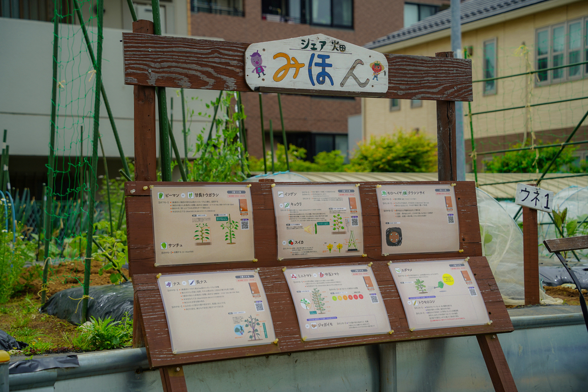 見本区画もありわかりやすい