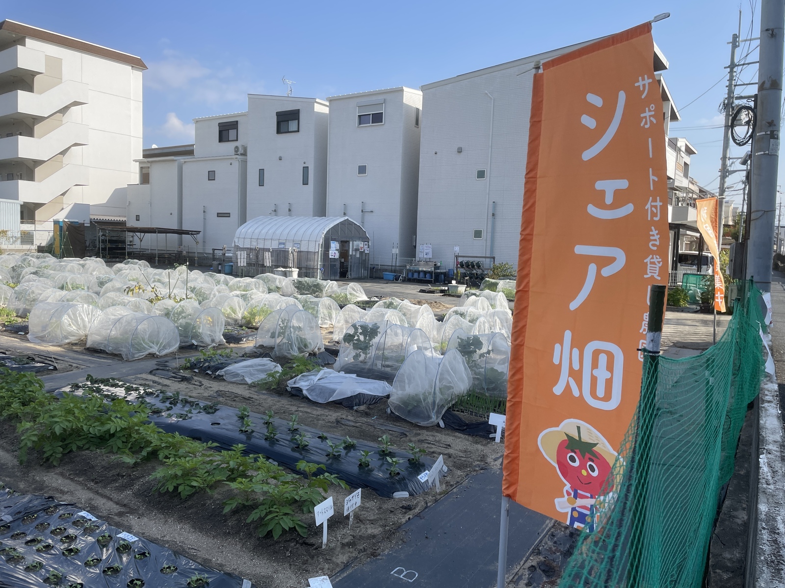 シェア畑 放出