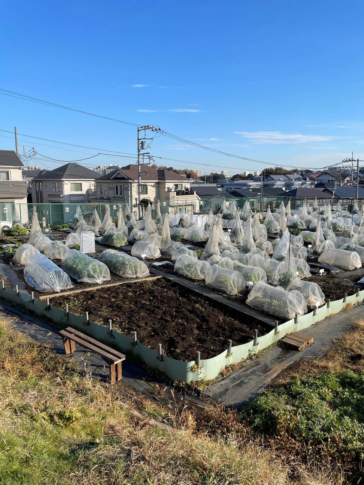 シェア畑 戸塚矢部