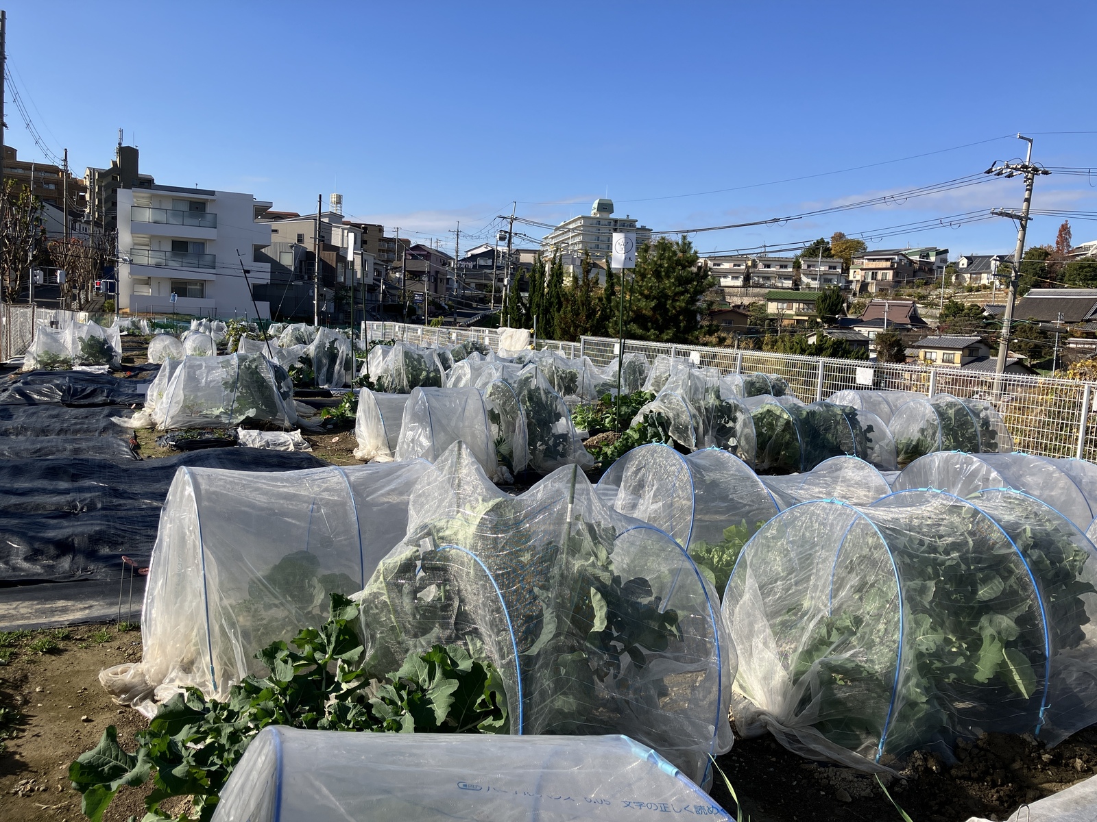 シェア畑 吹田千里山
