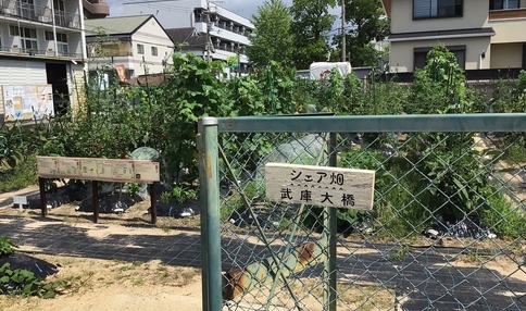 シェア畑 武庫大橋