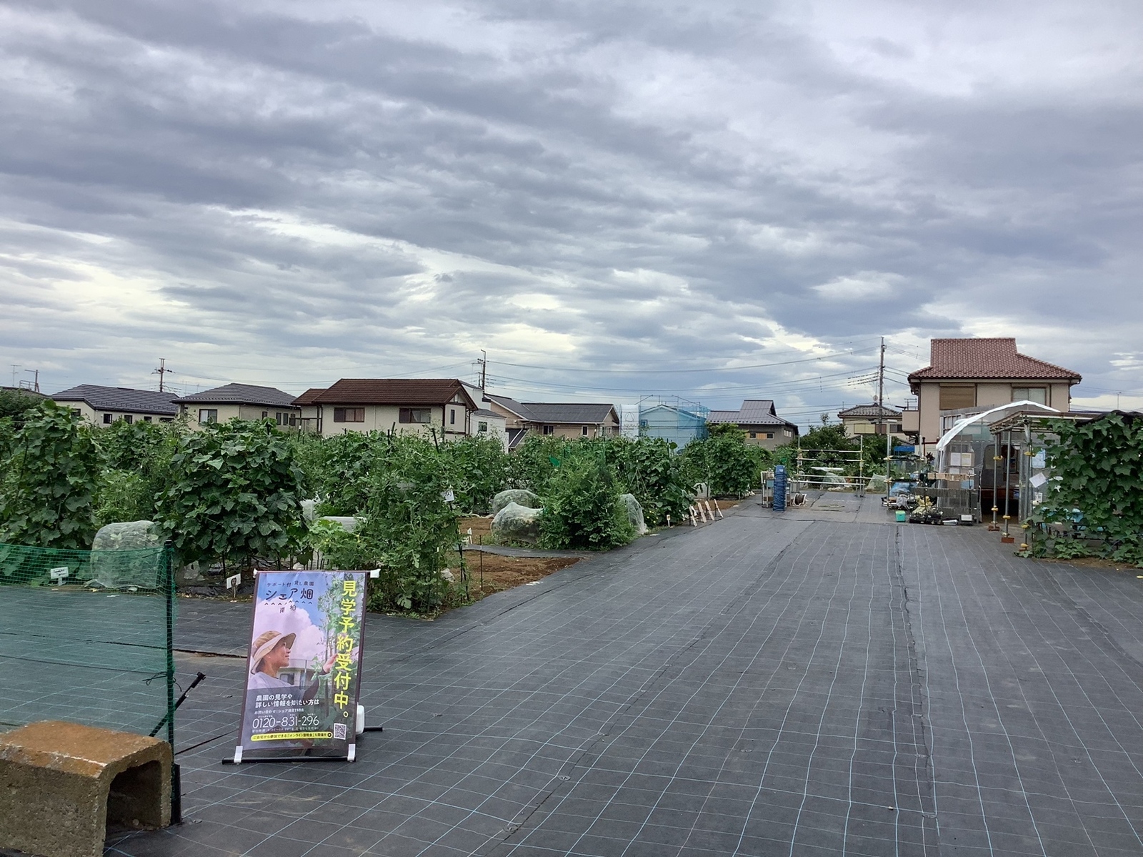 シェア畑 南柏