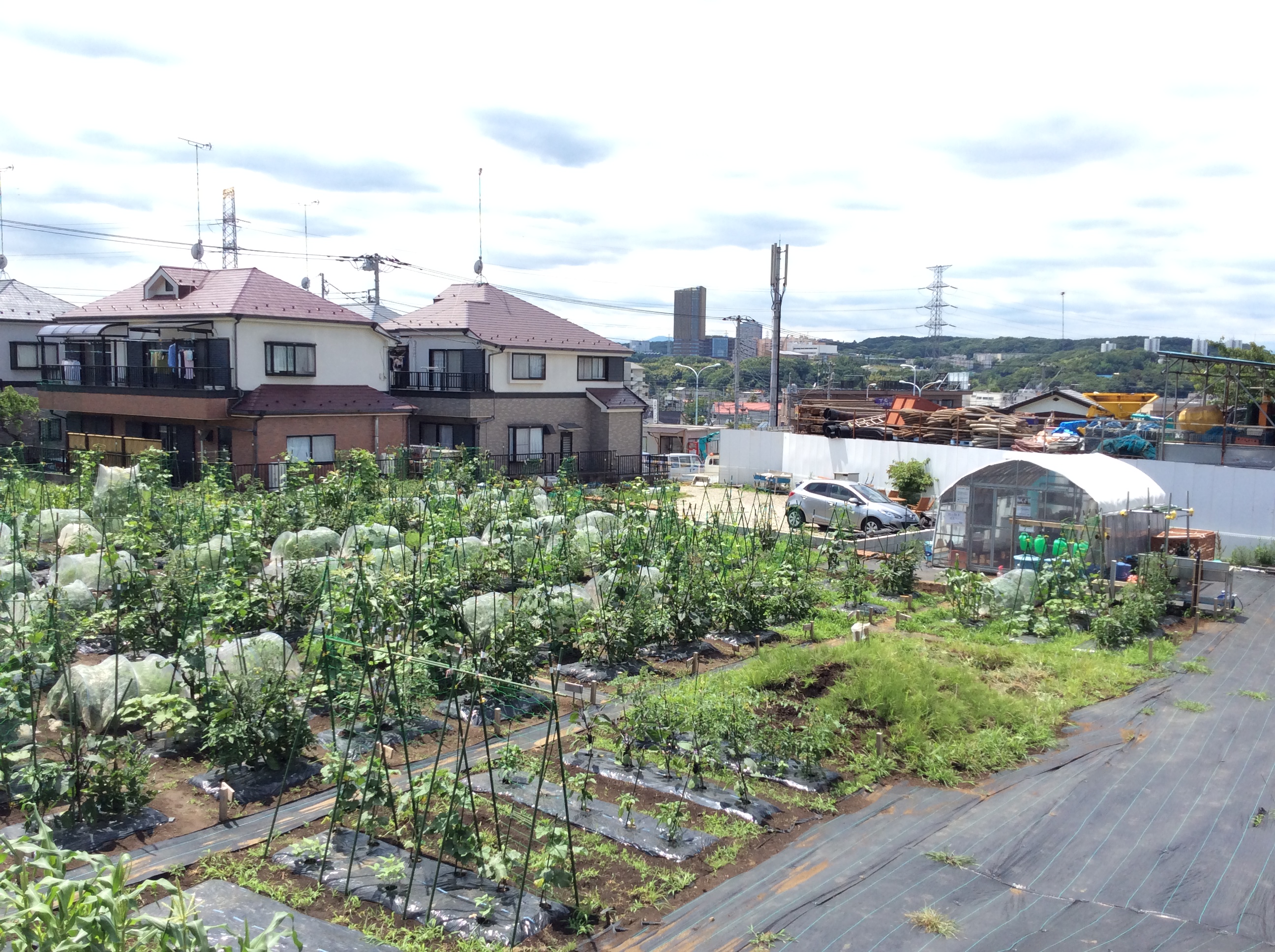 シェア畑 多摩落川