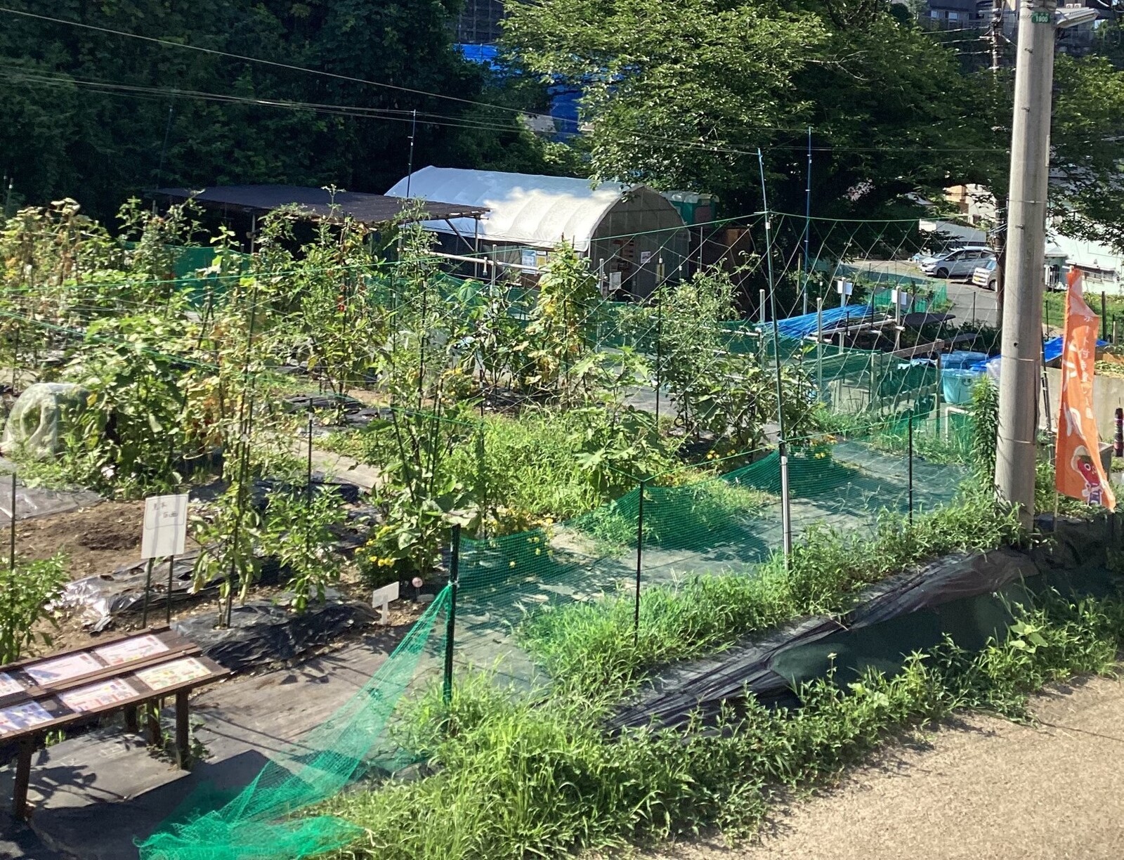 シェア畑 逗子小坪