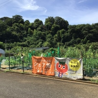 シェア畑 横浜鶴見