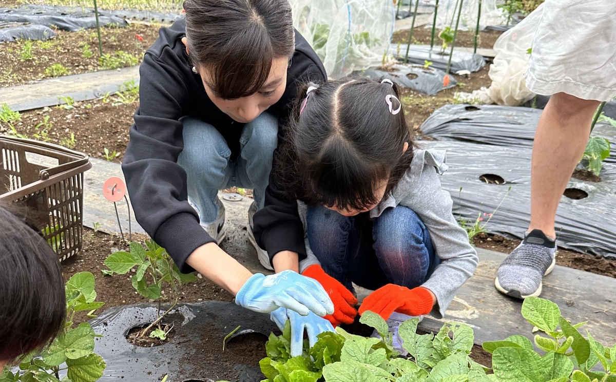 【先着20組限定】管理栄養士が監修する食育をテーマにした子ども向け短期プログラム「ワンサイクル」