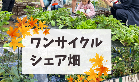 3ヶ月で5種類の野菜を収穫！子どもと楽しむ短期プログラムが10月からスタート