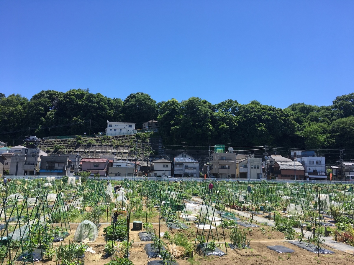 シェア畑 川崎多摩