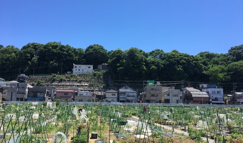 シェア畑 川崎多摩