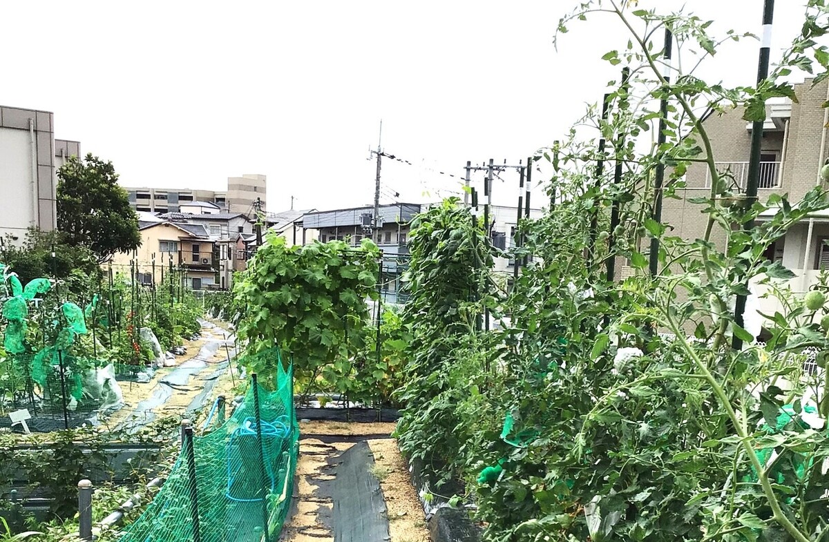 シェア畑 夙川グリーンプレイス前