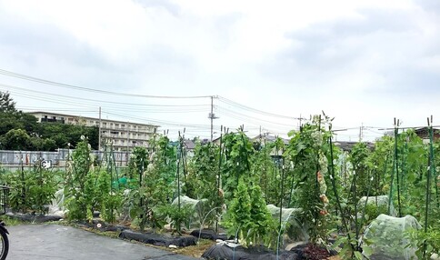 シェア畑 浦和別所沼公園