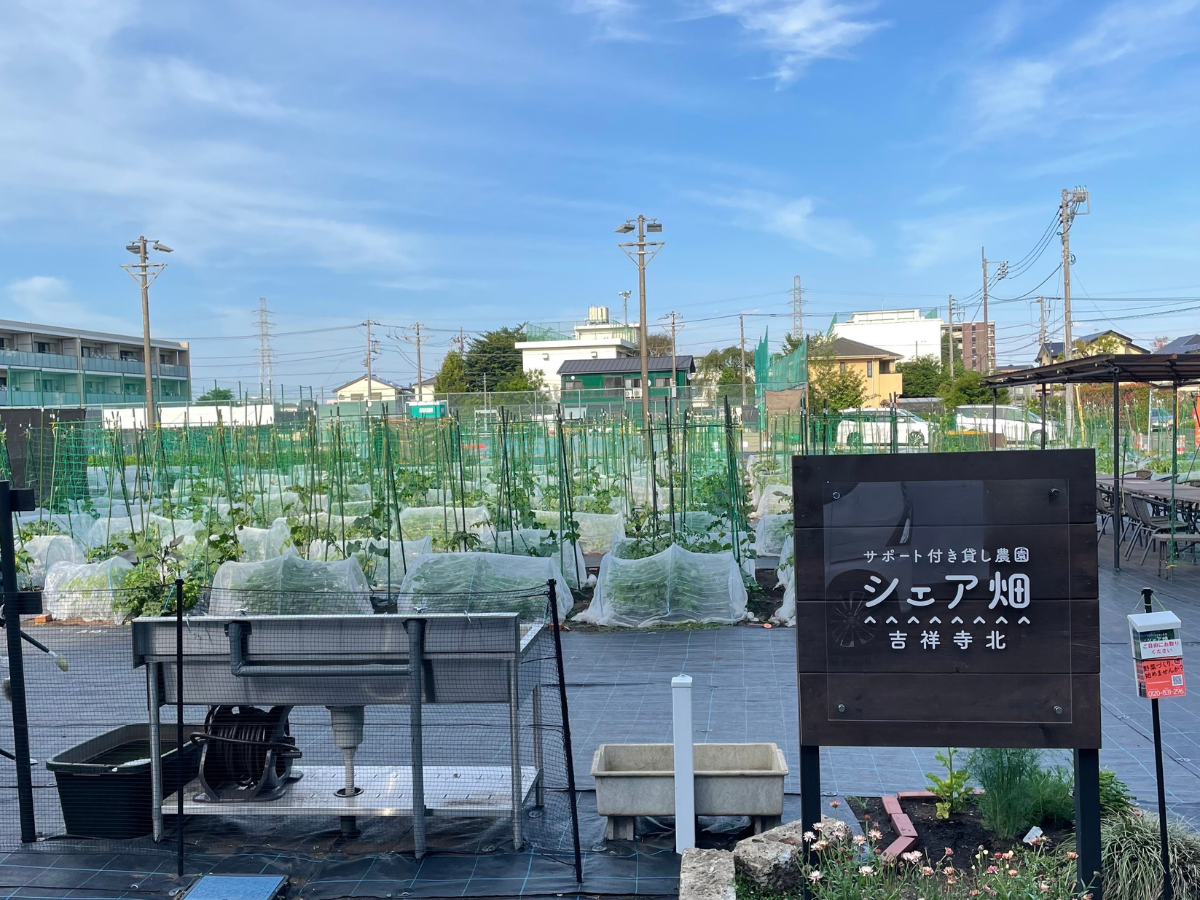 シェア畑 吉祥寺北