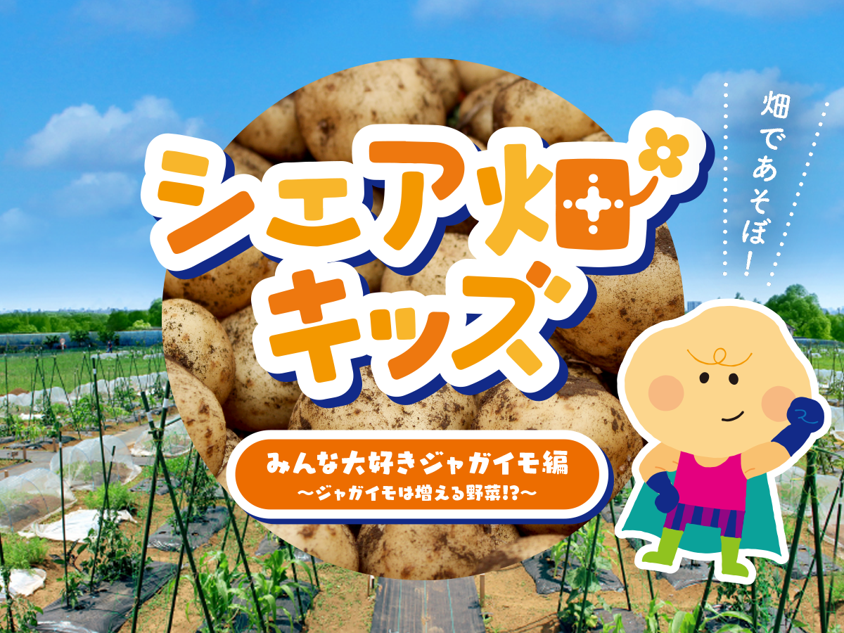 『シェア畑キッズ~ジャガイモは増える野菜!?~』2025年秋!募集開始