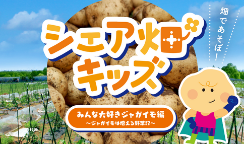 『シェア畑キッズ～ジャガイモは増える野菜!?～』2025年秋！募集開始
