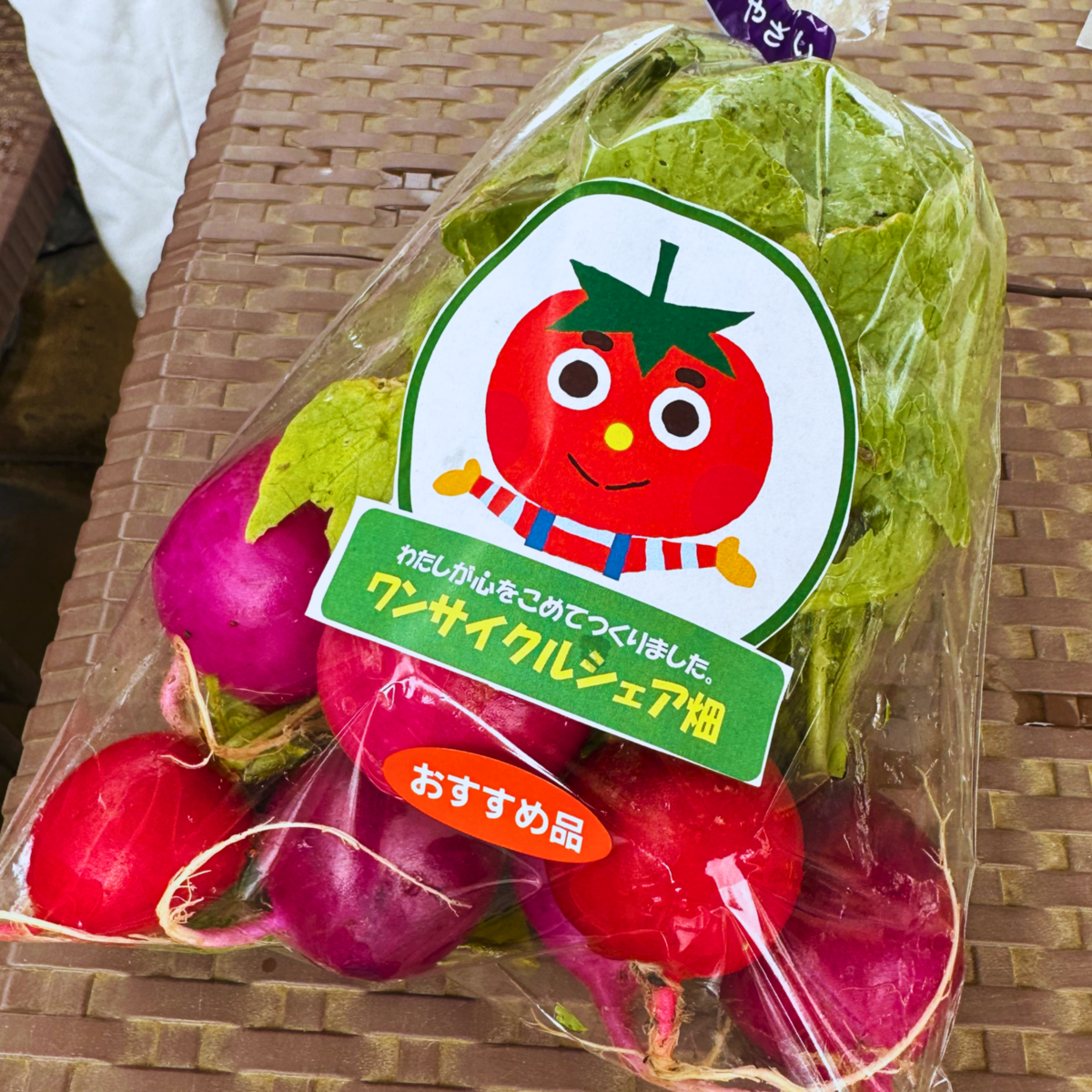 農家出荷体験