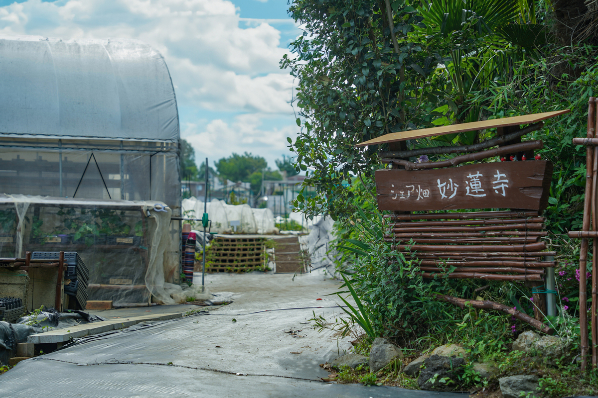 妙蓮寺農園入口