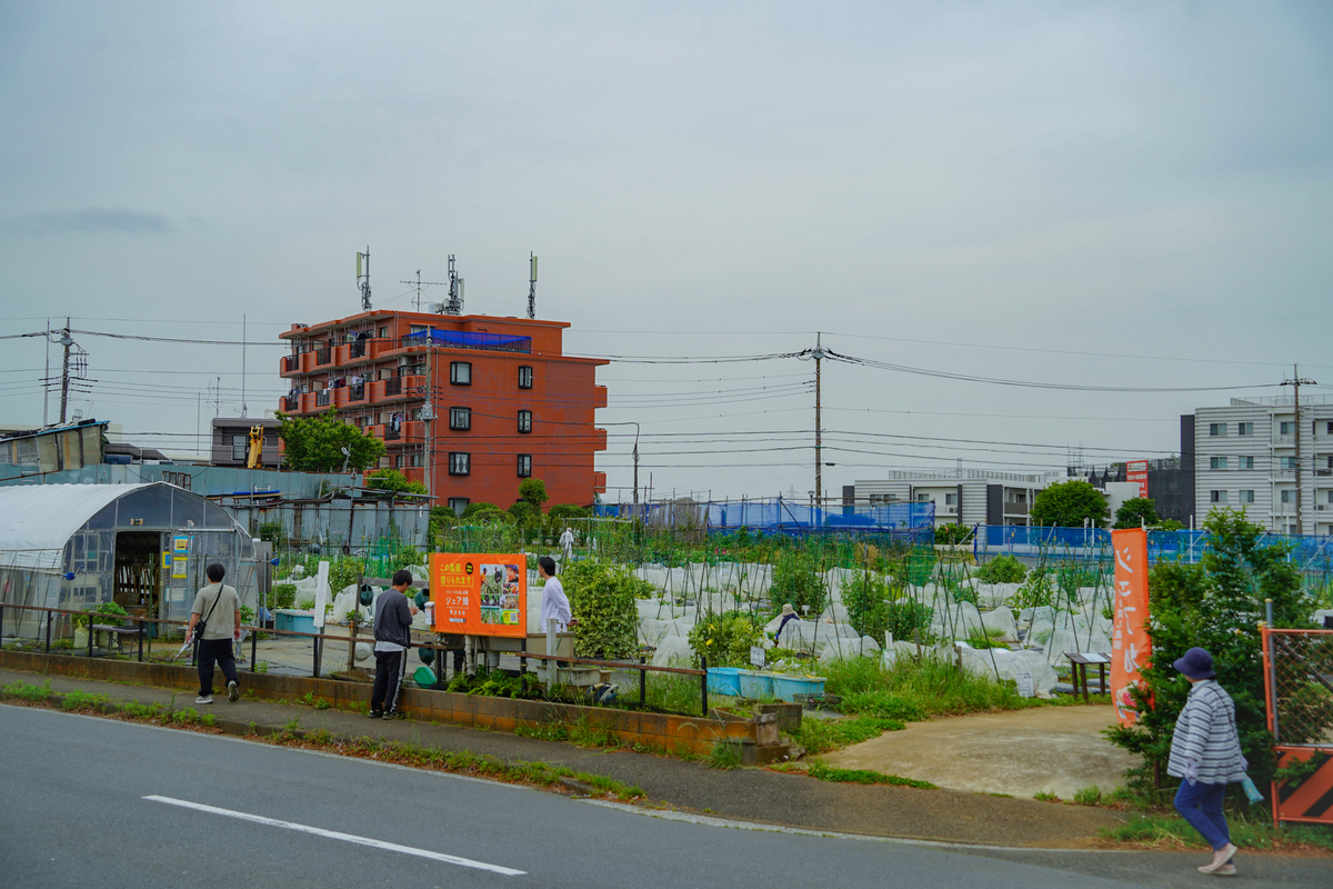 シェア畑 横浜高田