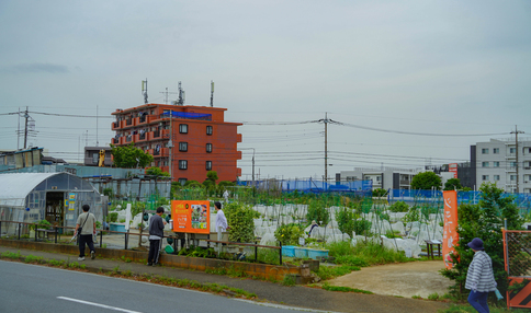シェア畑 横浜高田