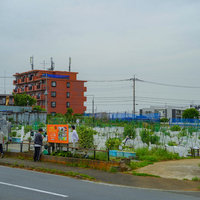 シェア畑 横浜高田