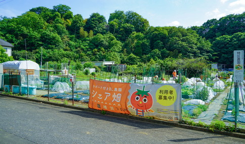 シェア畑 横浜鶴見