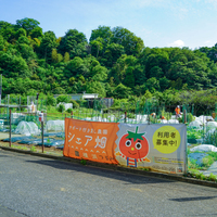 シェア畑 横浜鶴見