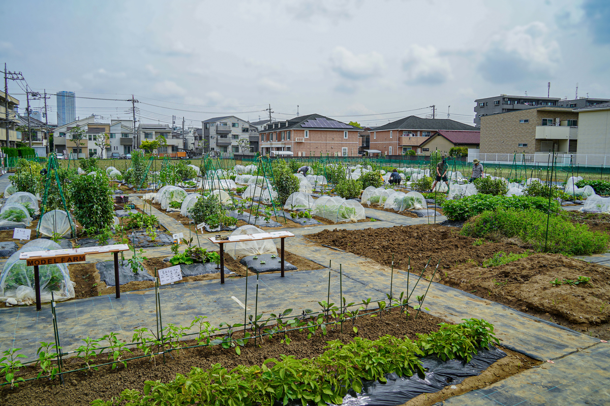 シェア畑 高津