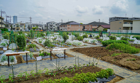 シェア畑 高津