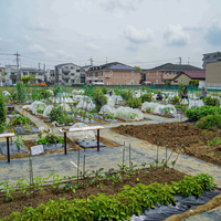 サポート付き市民農園　シェア畑譲ります シェア畑 高津(川崎市) | 体験農園なら貸し農園（市民農園）のシェア畑