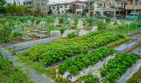川崎市の体験農園・貸し農園一覧 | 体験農園なら貸し農園（市民農園