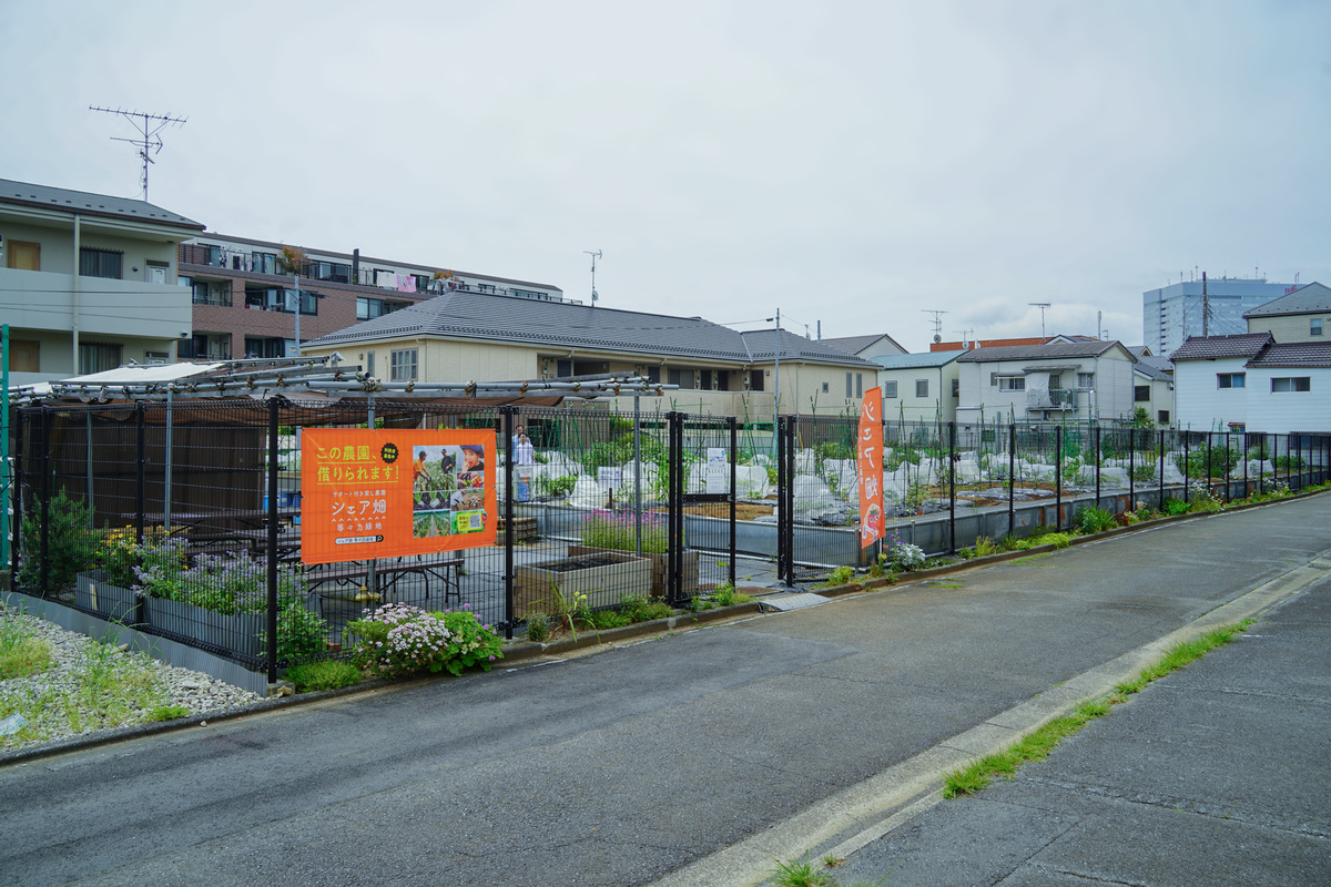 シェア畑 等々力緑地