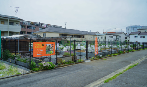 シェア畑 等々力緑地