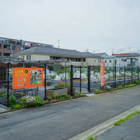 シェア畑 等々力緑地