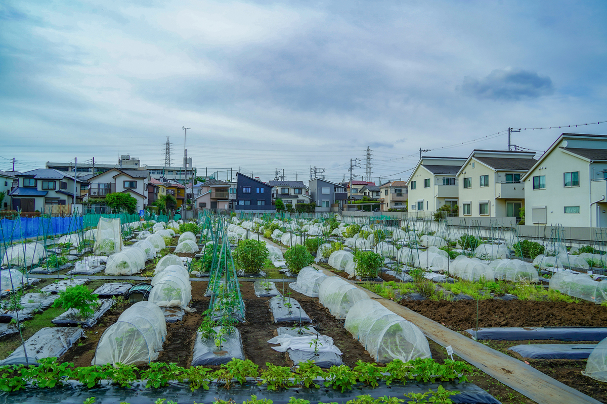 シェア畑 新横浜