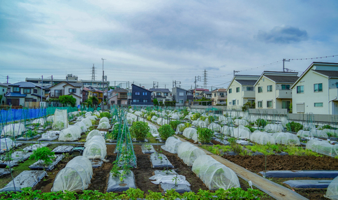 シェア畑 新横浜