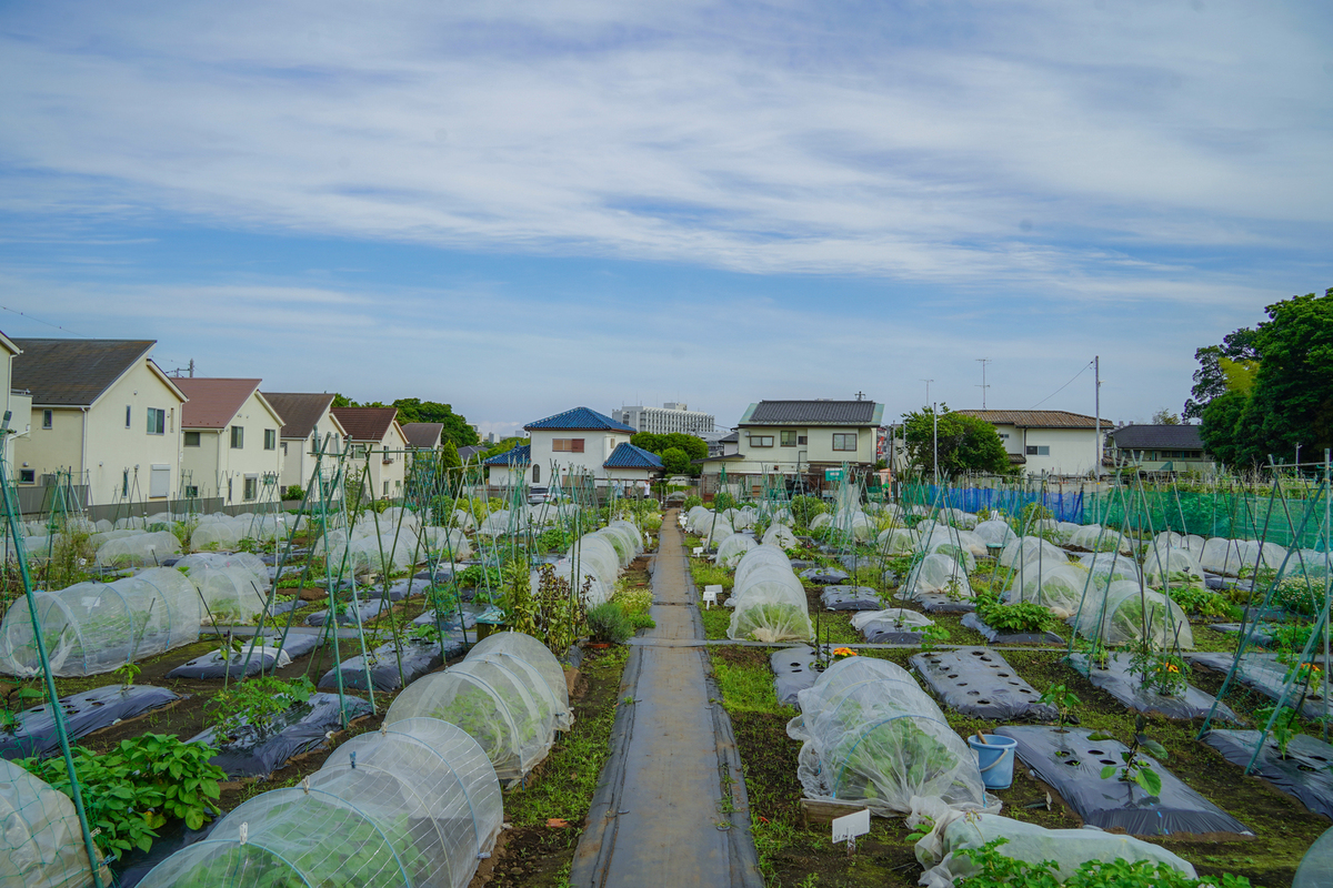 シェア畑 新横浜(横浜市) | 体験農園なら貸し農園（市民農園）のシェア畑