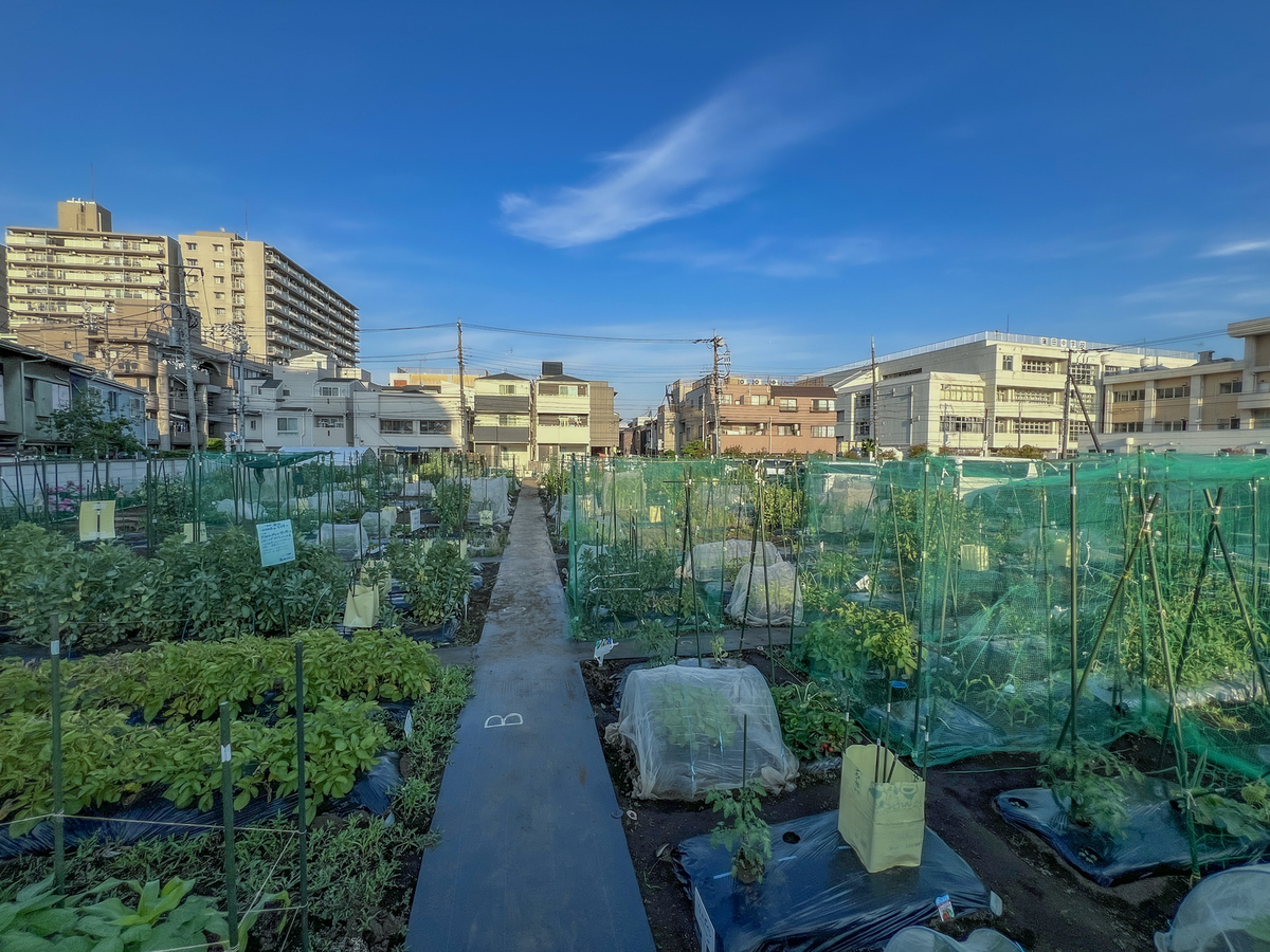 シェア畑 蒲田(大田区) | 体験農園なら貸し農園（市民農園）のシェア畑