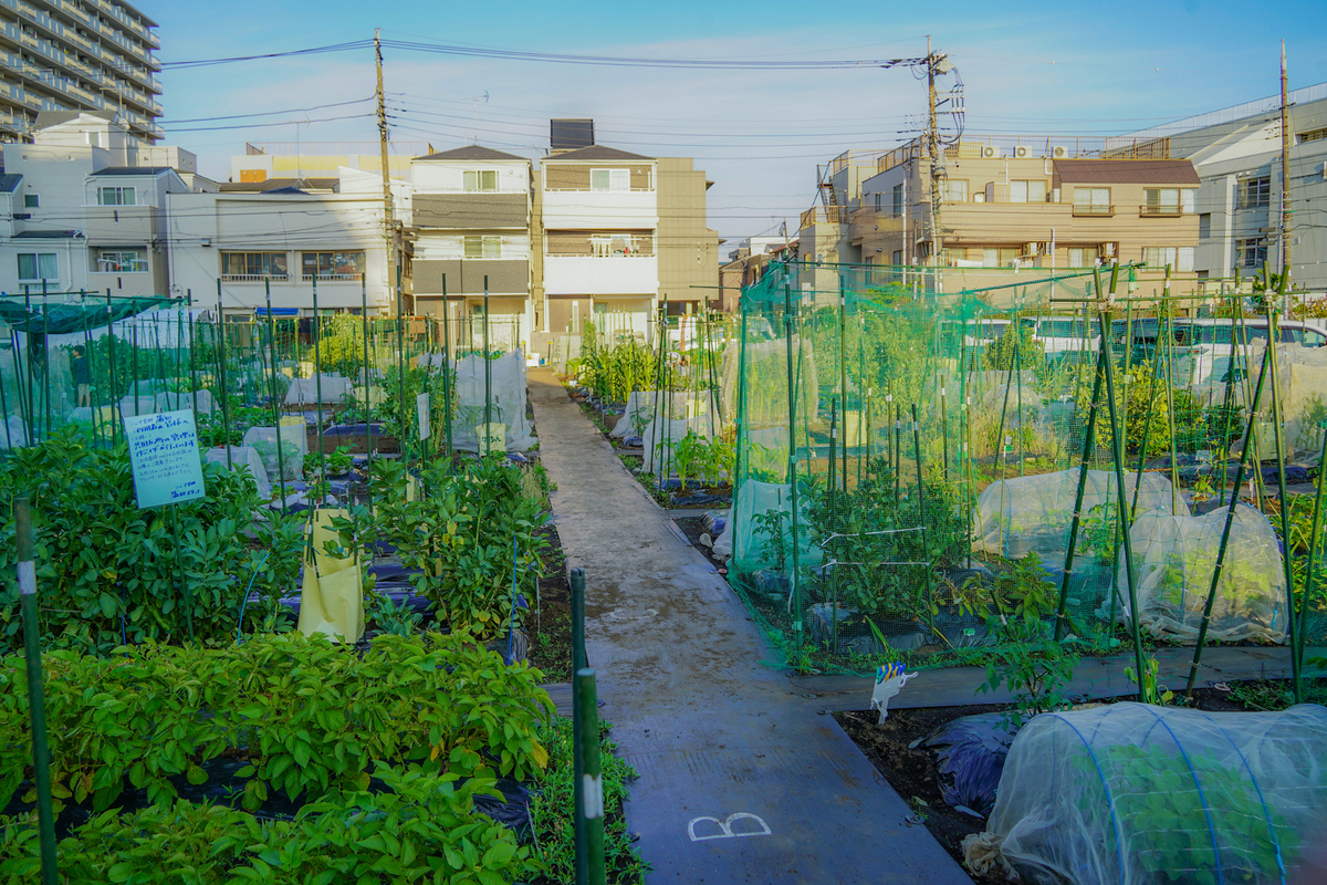 農園風景