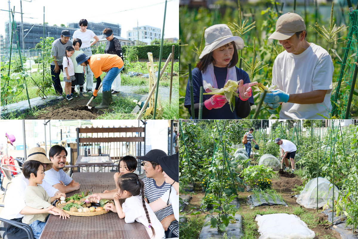 貸農園どうですか？ 東京都世田谷区宮坂に『シェア畑 経堂』がNEW OPEN！9月12日（金）より