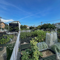 シェア畑garden 下北沢