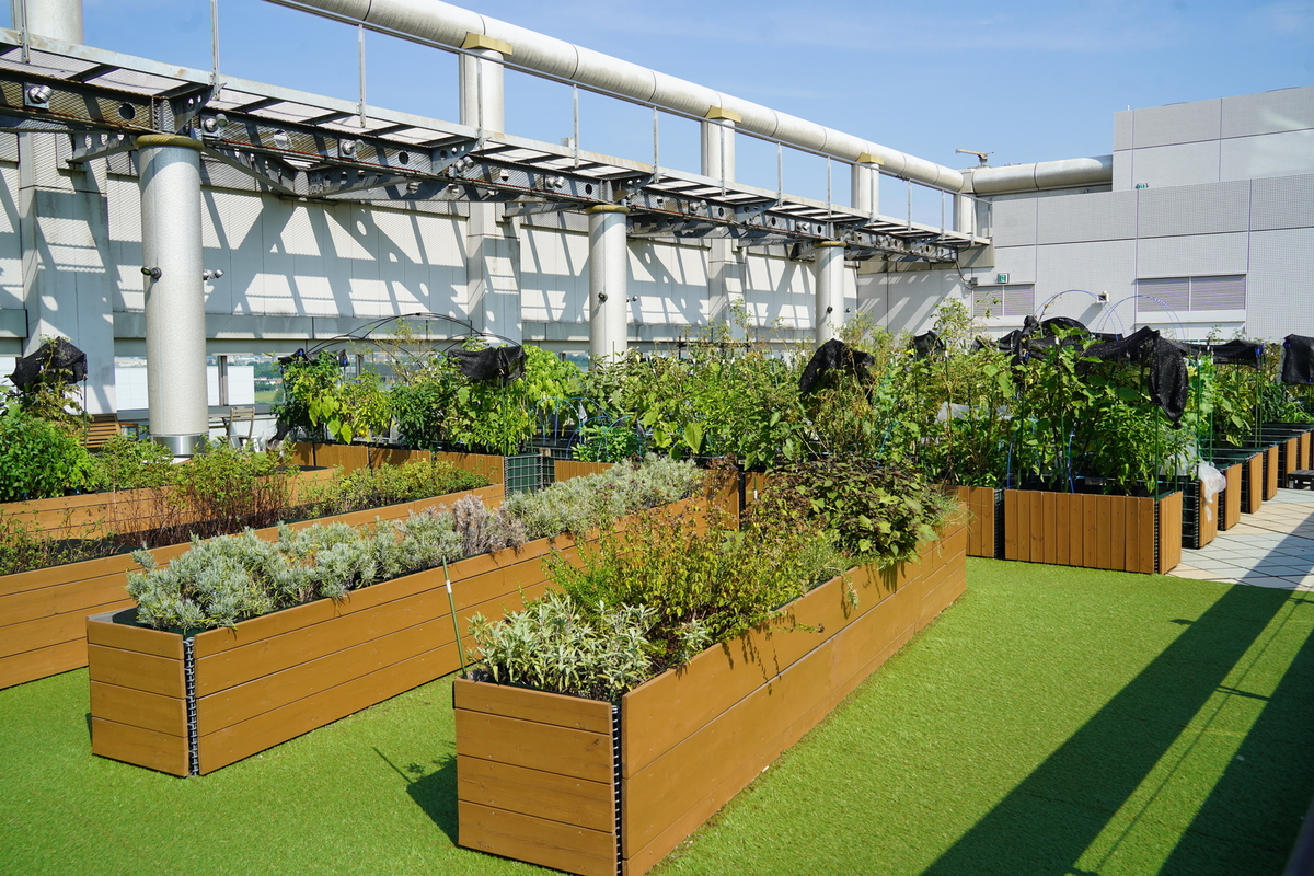 シェア畑 garden 立川高島屋S.C.店