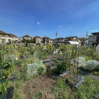シェア畑 浜田山