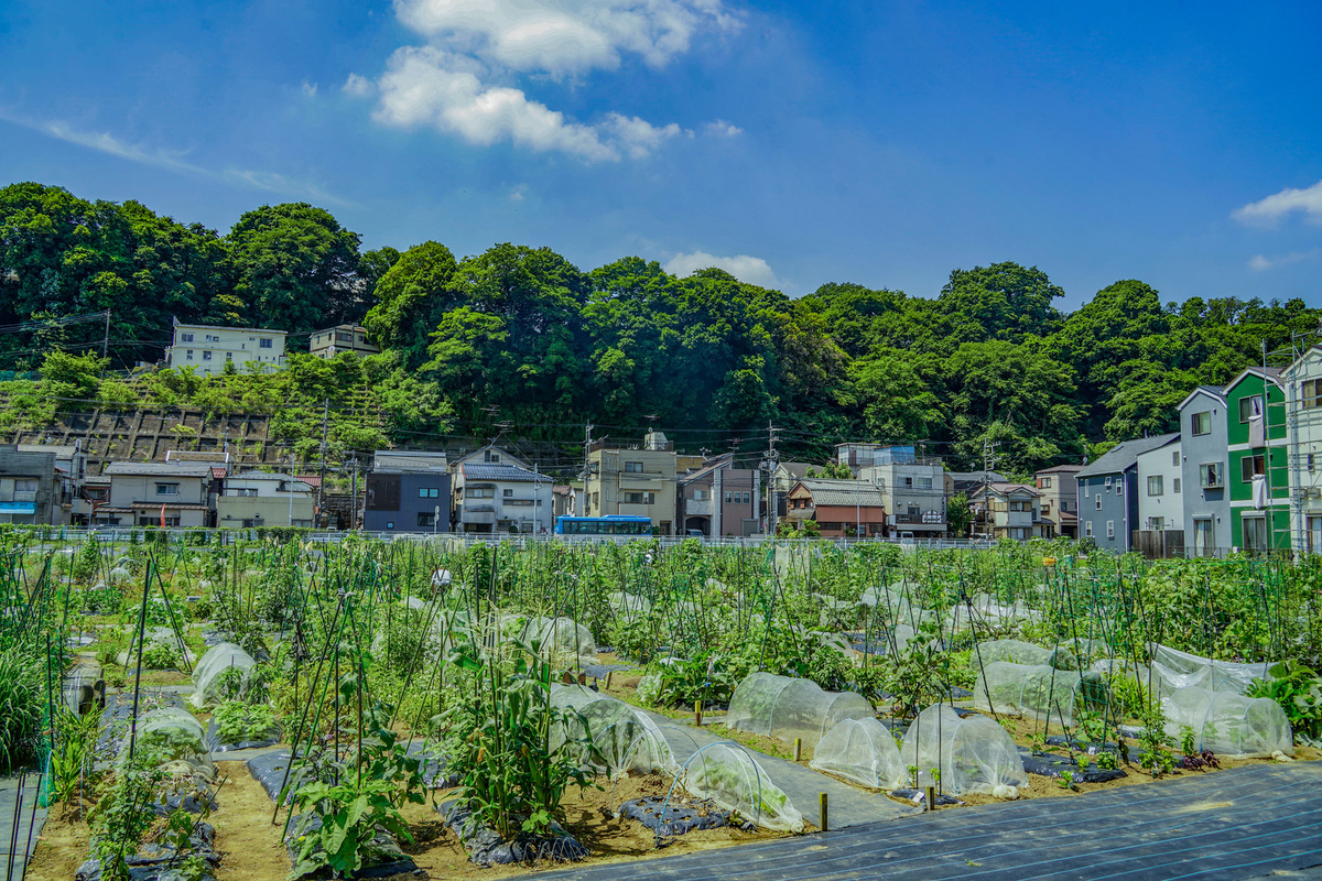 シェア畑 川崎多摩