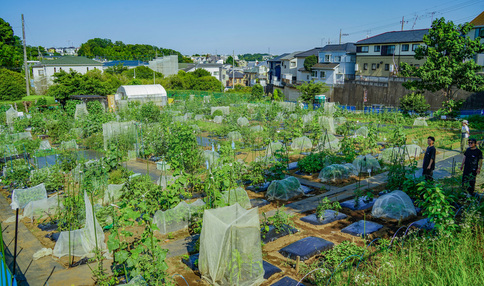 シェア畑 東有馬