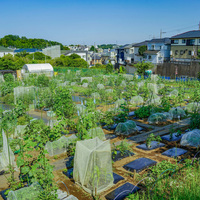 シェア畑 東有馬