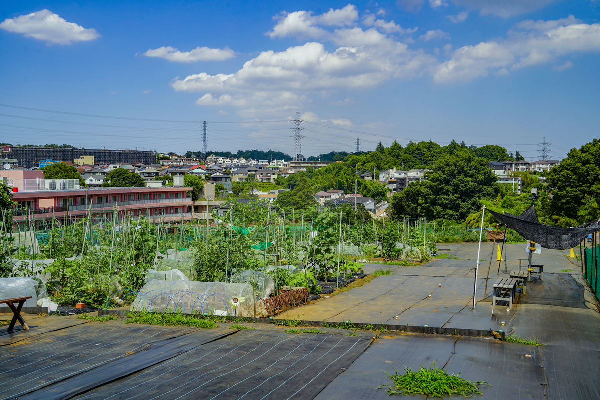 シェア畑 麻生