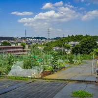 シェア畑 麻生