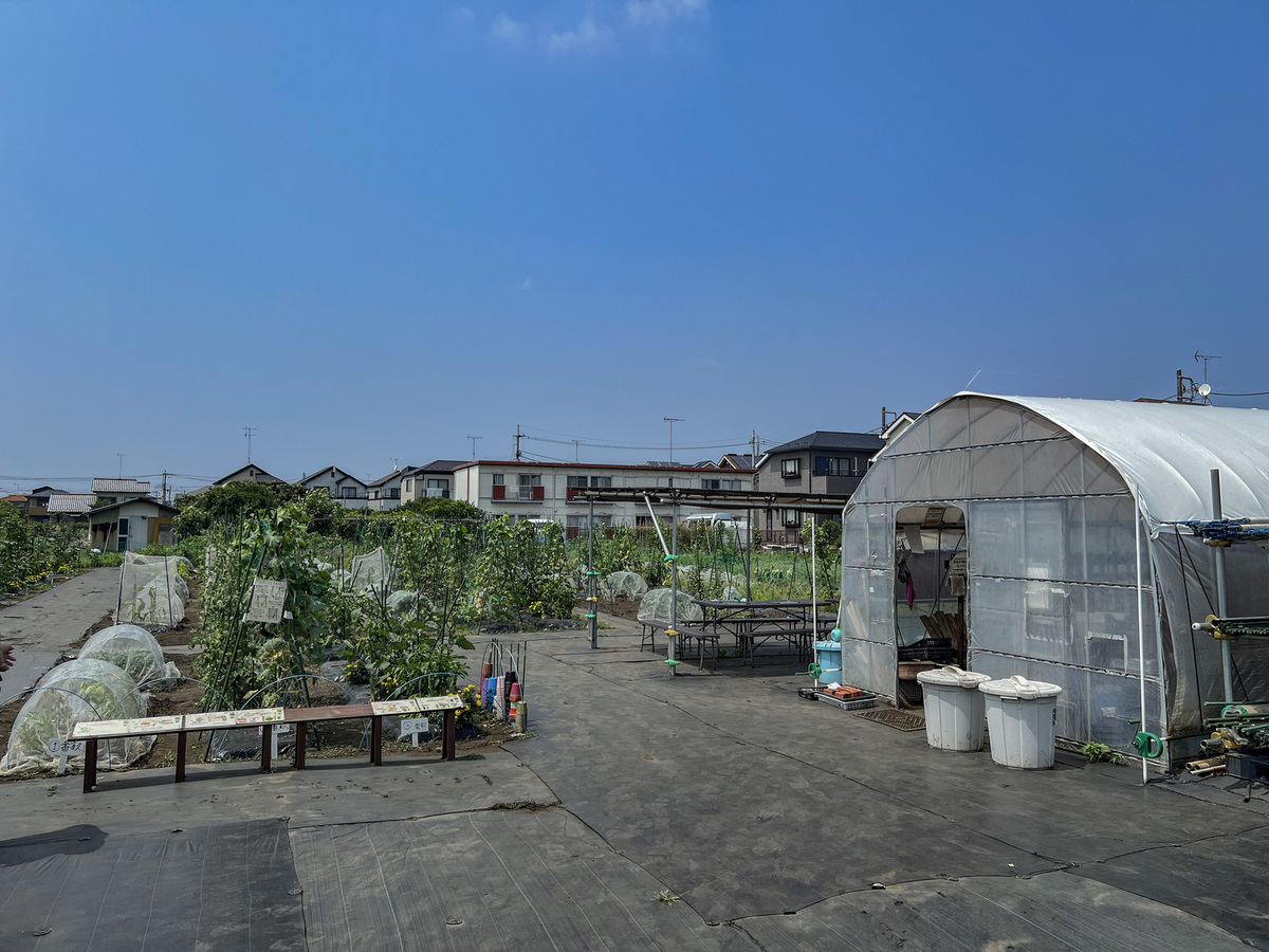シェア畑 町田金森