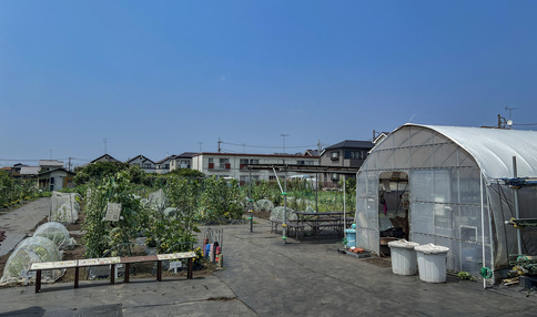 シェア畑 町田金森