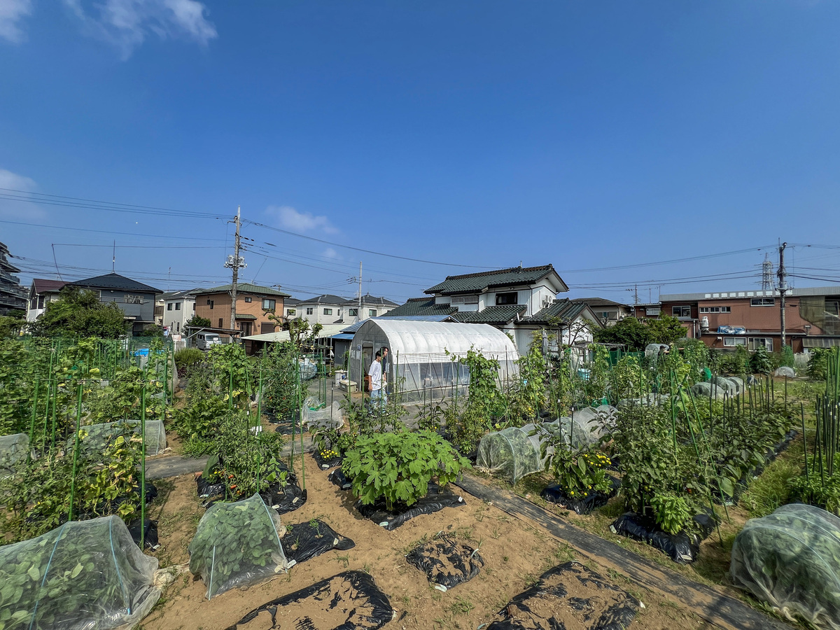 シェア畑 中央林間