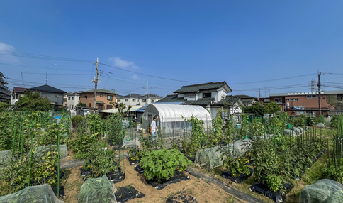 シェア畑 中央林間